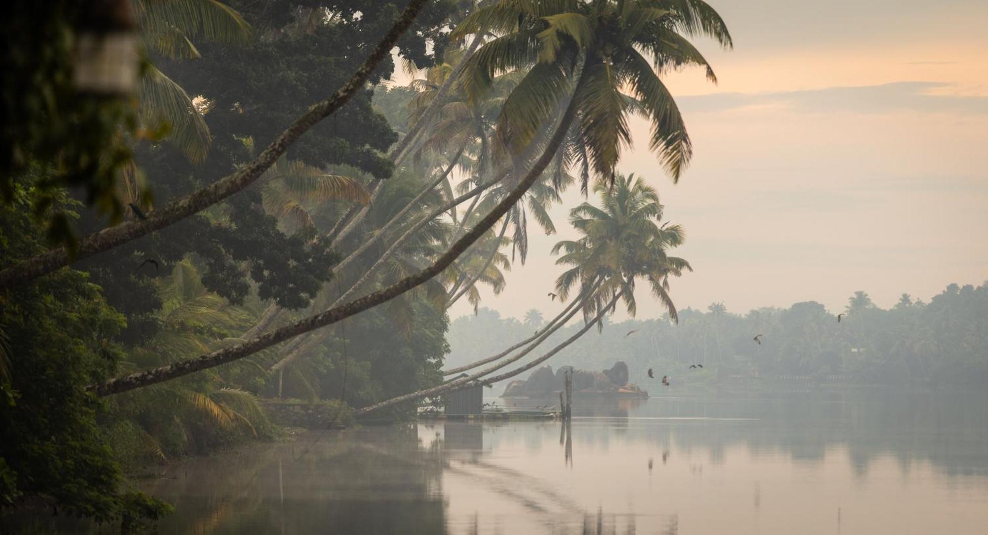 Cranganor History Cafe & Riverside Chateau North Paravur Eksteriør bilde
